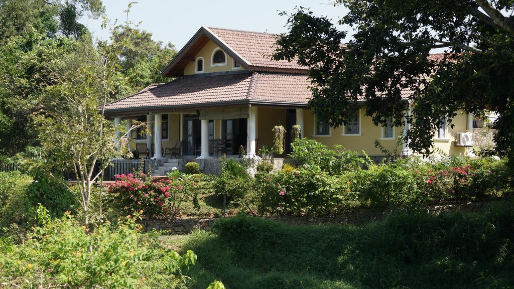 Villa Tee Four Digana Exterior photo